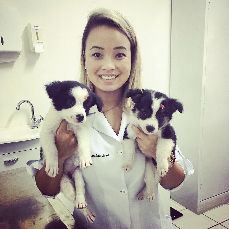 As fofas Hanna e Eva visitando a Focinhos e Cia para colocarem as vacinas em dia com a Dra. Caroline!

Petshop e Veterinário em São Bernardo – Focinhos & Cia

#focinhosecia #petshop #veterinarioemsbc #veterinarioemabc #veterinarioabc #veterinario-em-abc #veterinario-em-sbc #petshopsbc #pet #petbairroassunção #banhoetosa #dog #cachorro #sbc #alvesdias #bairroassuncao #bairroassunção #veterinario #veterinariosbc #vet #clientes #banho #tosa